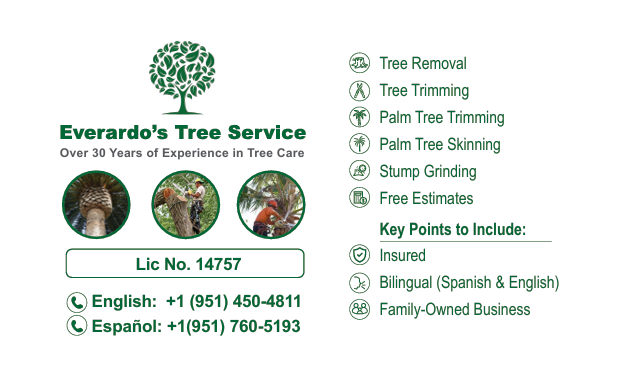 Business Card (5)